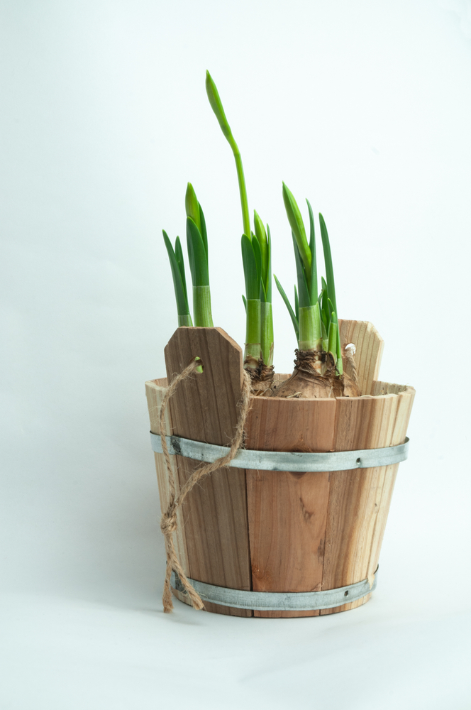 shutterstock_1904358370.jpg