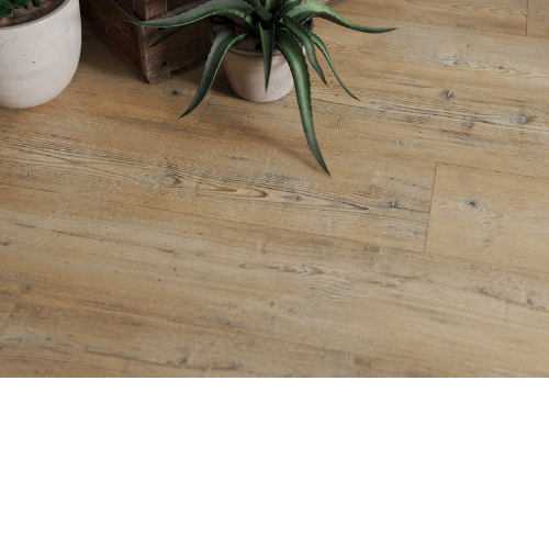 84509639-ambiance212